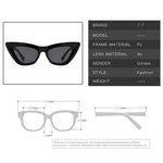 Women's retro square glasses with sunglasses